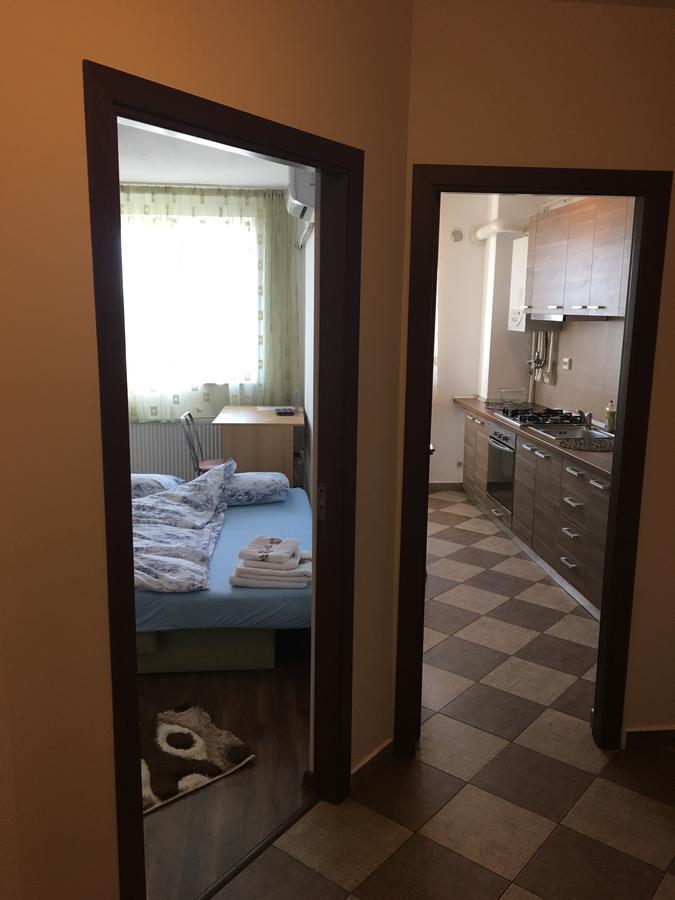 Paul'S Apartment クルージュ＝ナポカ エクステリア 写真