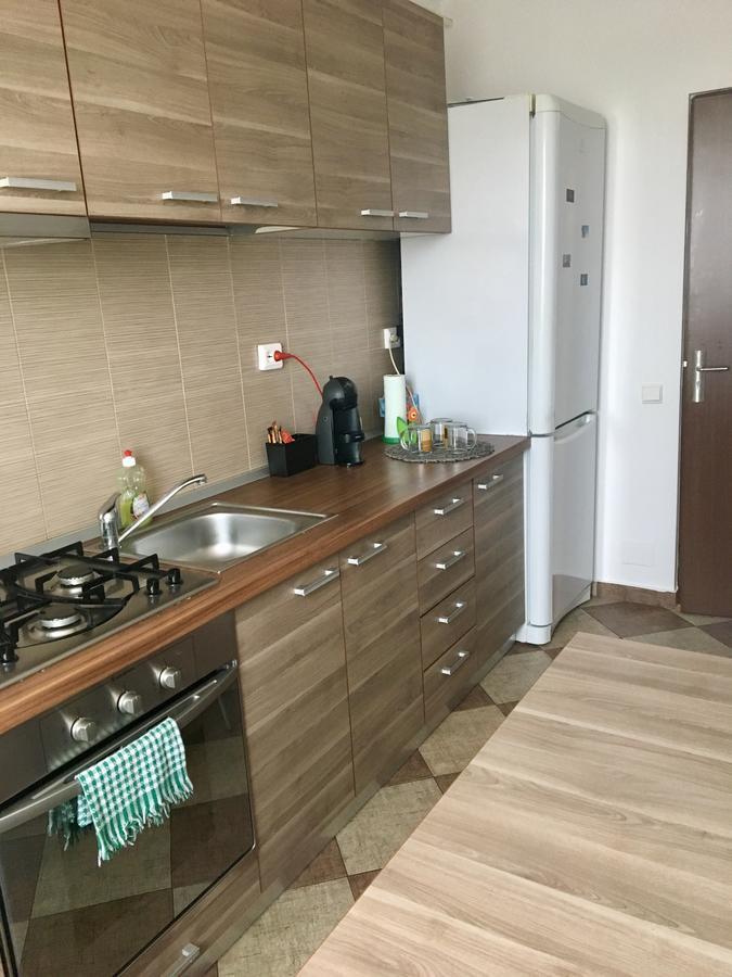 Paul'S Apartment クルージュ＝ナポカ エクステリア 写真